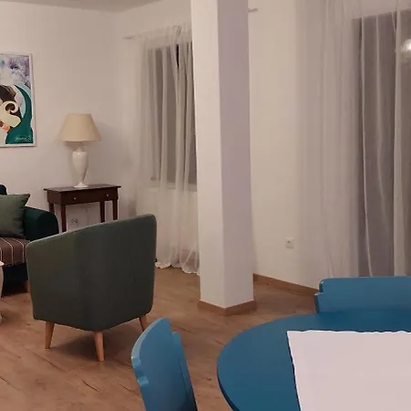 公寓 Oriana 罗维尼